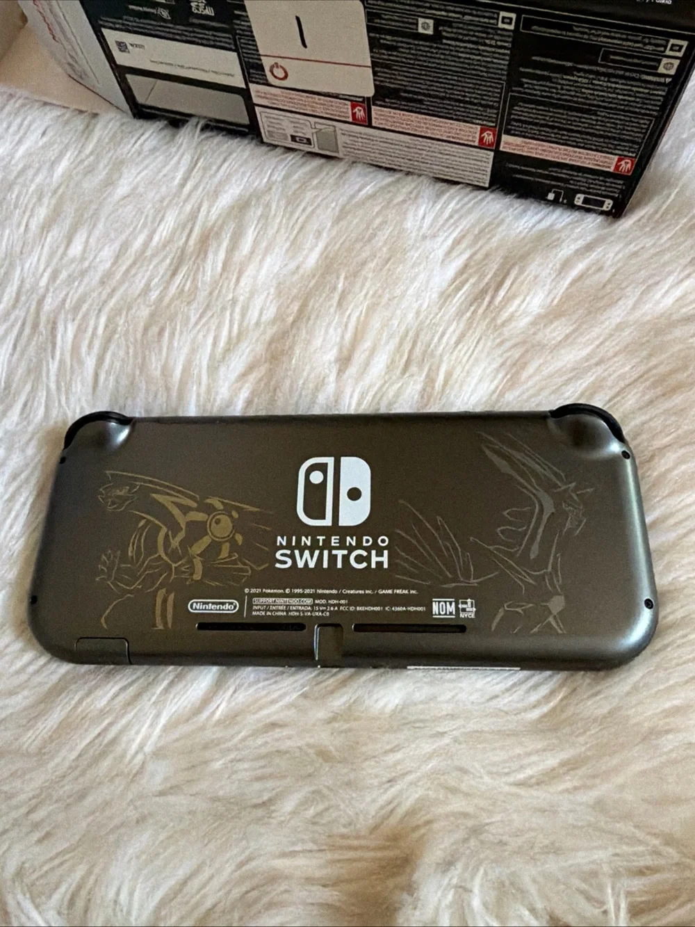 Nintendo switch lite